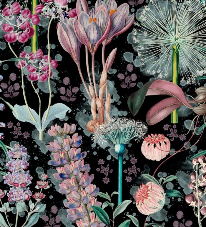 Papel pintado dientes de león fondo oscuro - Lane Blossom 128088