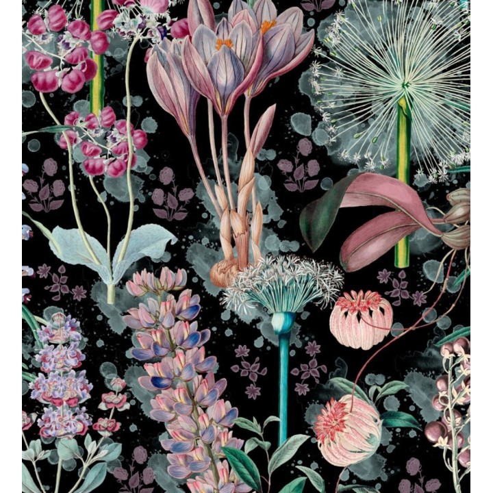 Papel pintado dientes de león fondo oscuro - Lane Blossom 128088