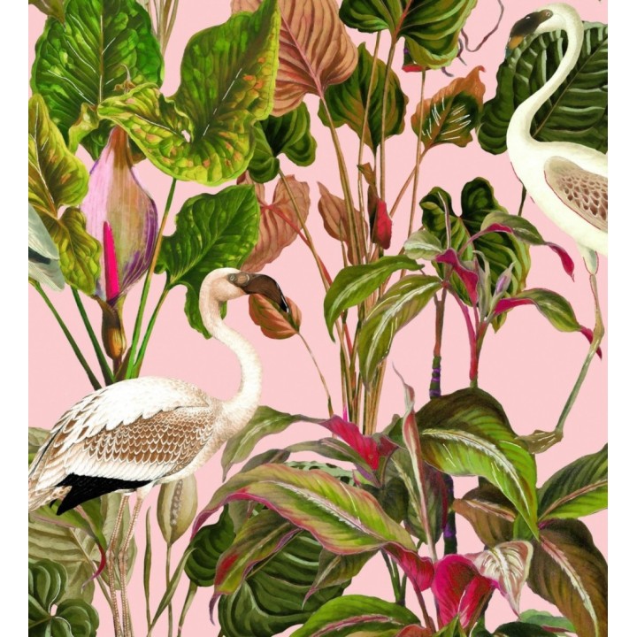Papel pintado flamencos beiges en la vegetación tropical - Pink Wader 128123