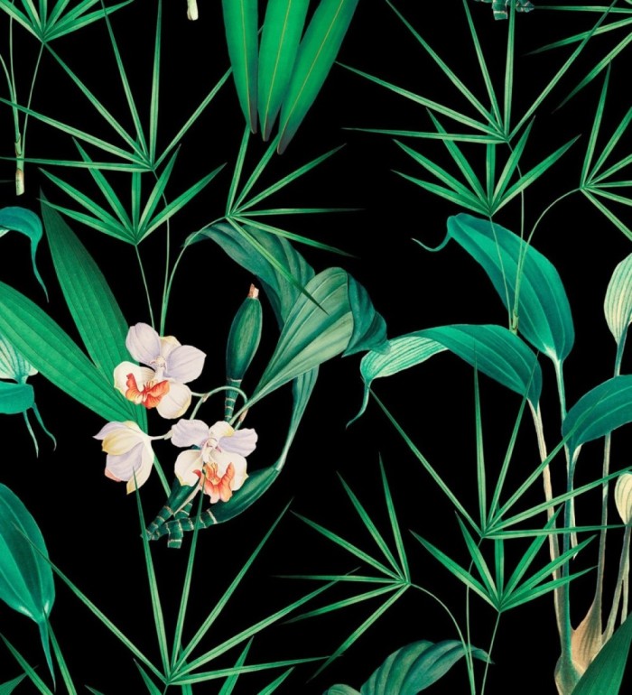 Papel pintado flores blancas y hojas con fondo oscuro - Palms Hunting 128124
