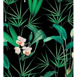 Palms Hunting 128124