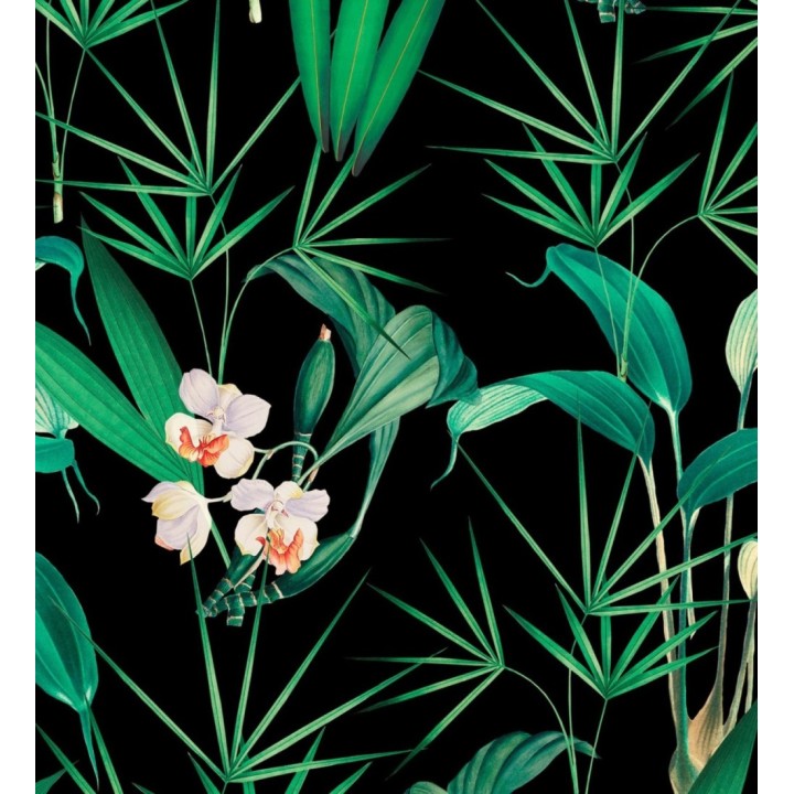 Papel pintado flores blancas y hojas con fondo oscuro - Palms Hunting 128124