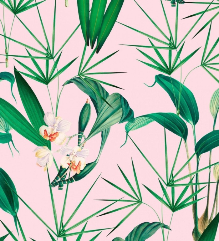 Papel pintado flores blancas y hojas con fondo rosa pálido - Palms Hunting 128125