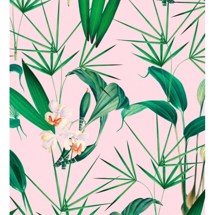 Papel pintado flores blancas y hojas con fondo rosa pálido - Palms Hunting 128125
