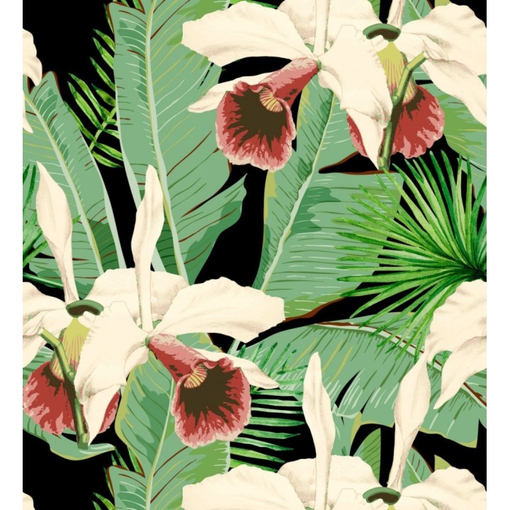 Papel pintado hojas grandes y flores rojizas con fondo negro - Summer in Acapulco 128128