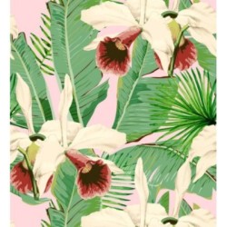 Papel pintado Summer in Acapulco 128129