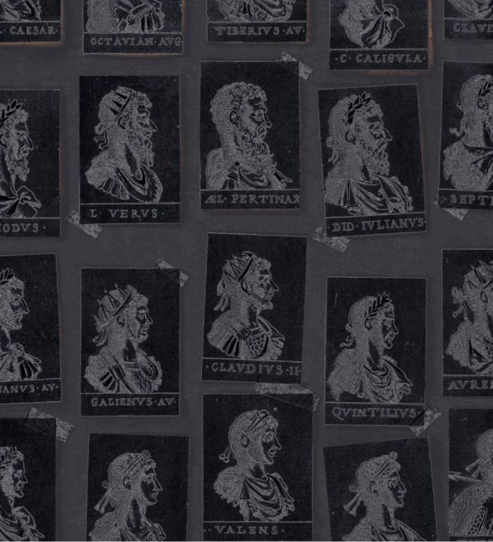 Papel pintado sellos de emperadores romanos tonos oscuros - Emperor Legacy 128178