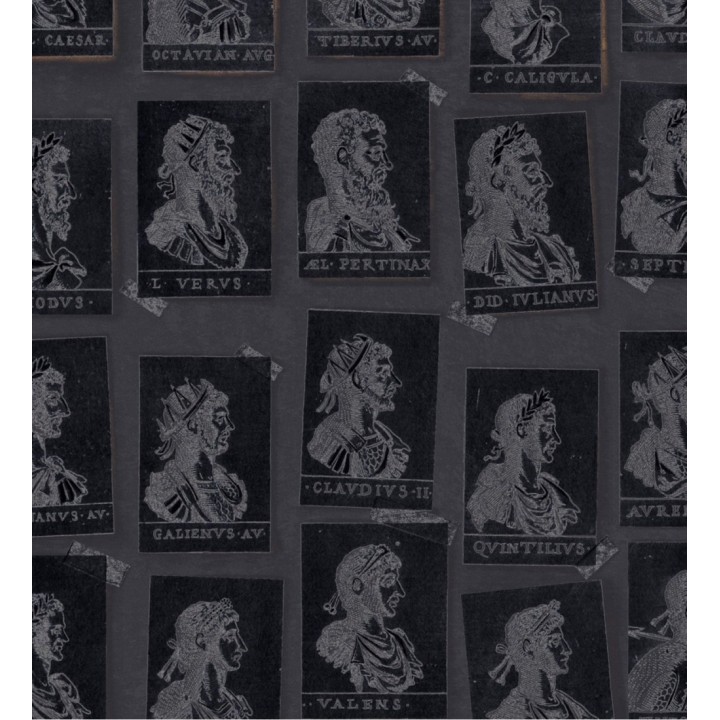 Papel pintado sellos de emperadores romanos tonos oscuros - Emperor Legacy 128178