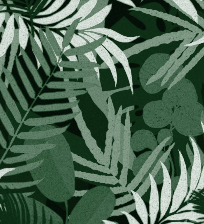 Papel pintado hojas verdes de la jungla tropical - Kai Palms 128235