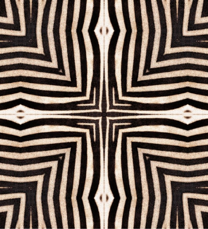 Papel pintado estampado de cebra estilo étnico - Aisha Mood 128248