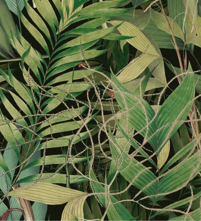 Papel pintado hojas tropicales - Bahama Bay 128258