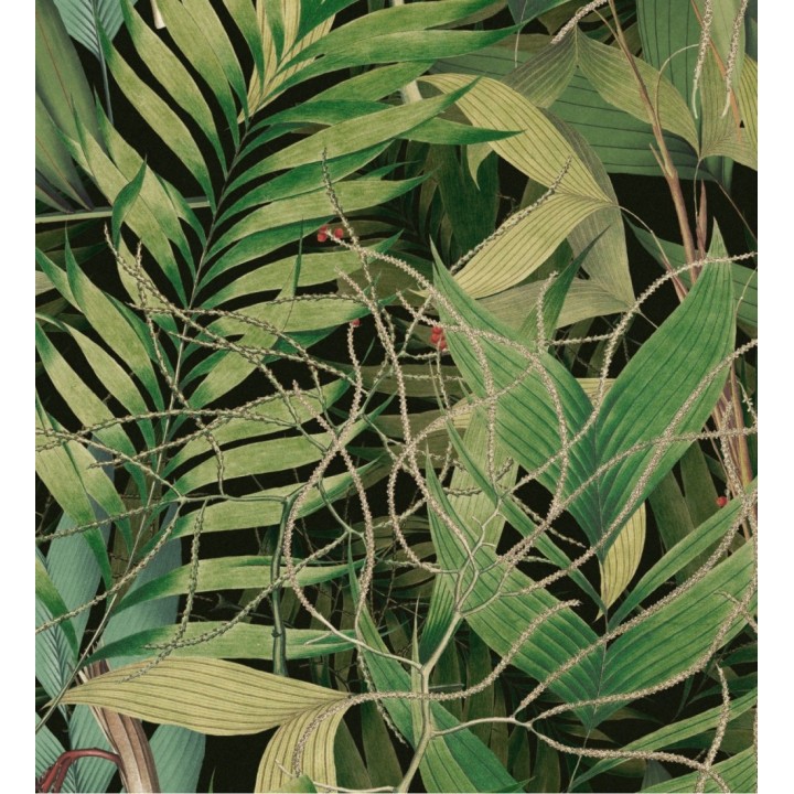 Papel pintado hojas tropicales - Bahama Bay 128258