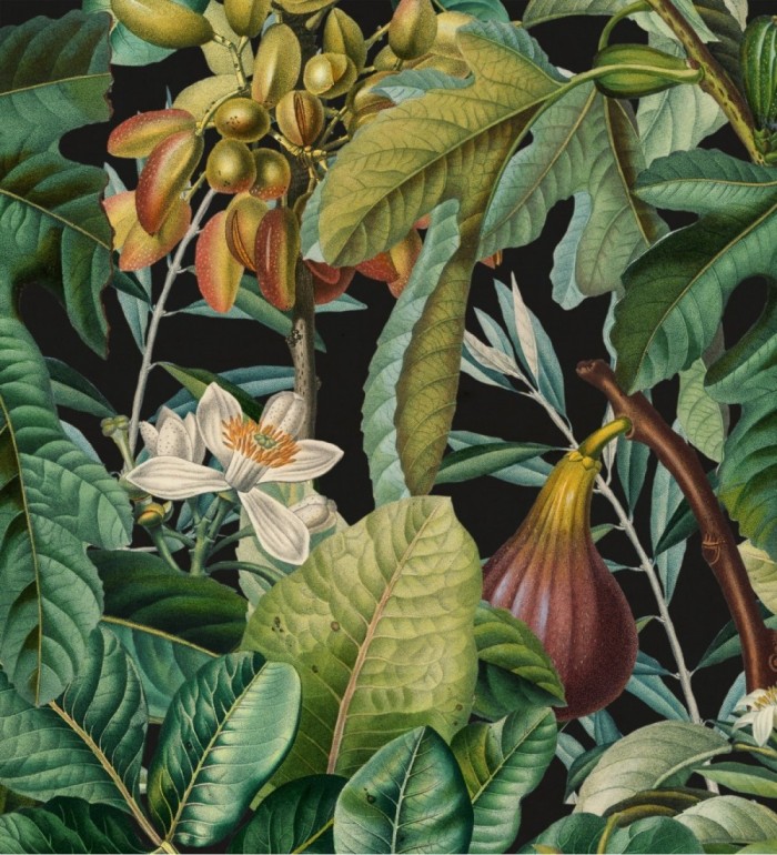 Papel pintado jardín floral tropical - Astrid Bloom 128260