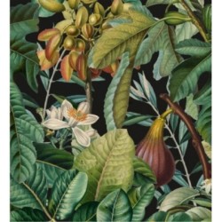 Papel pintado Astrid Bloom 128260