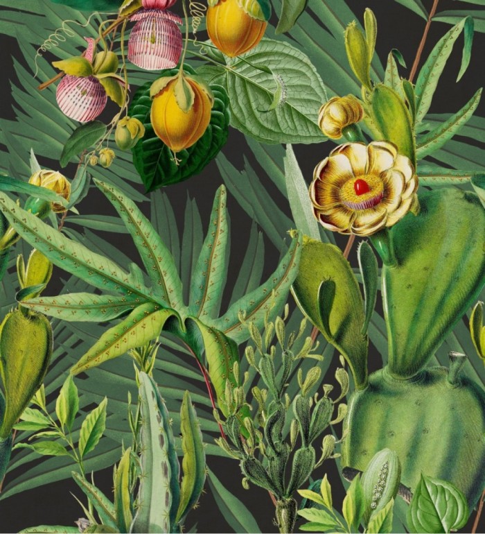 Papel pintado jardín tropical - Nadia Garden 128261