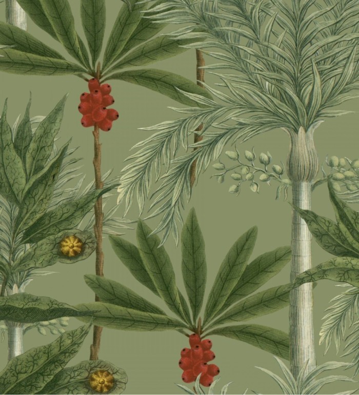 Papel pintado palmeras y cocos tonos verdes - Askar Jungle 128263