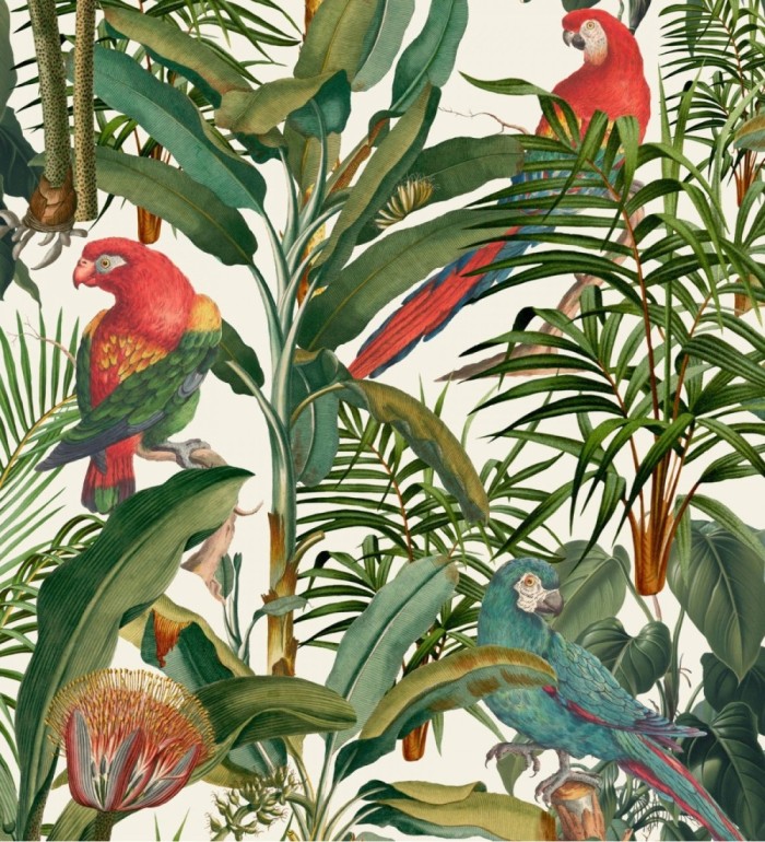 Papel pintado loros en las ramas de plantas tropicales fondo claro - Cameron Island 128264