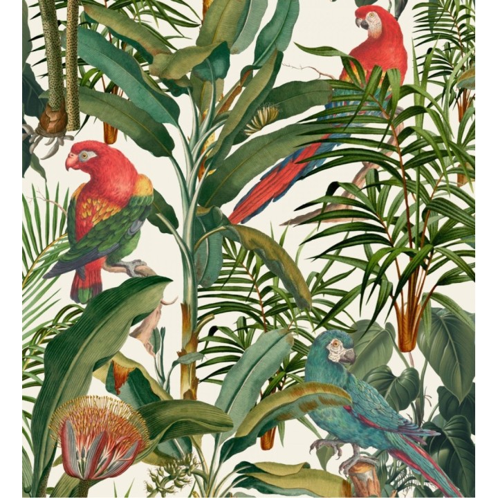 Papel pintado loros en las ramas de plantas tropicales fondo claro - Cameron Island 128264