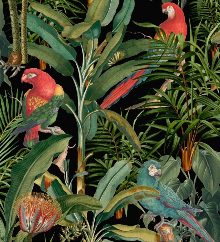 Papel pintado loros en las ramas de plantas tropicales fondo negro - Cameron Island 128265
