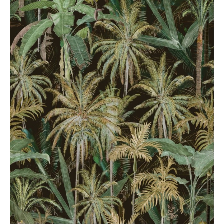 Papel pintado bosque de palmeras verdes y fondo oscuro - Gordon Forest 128266