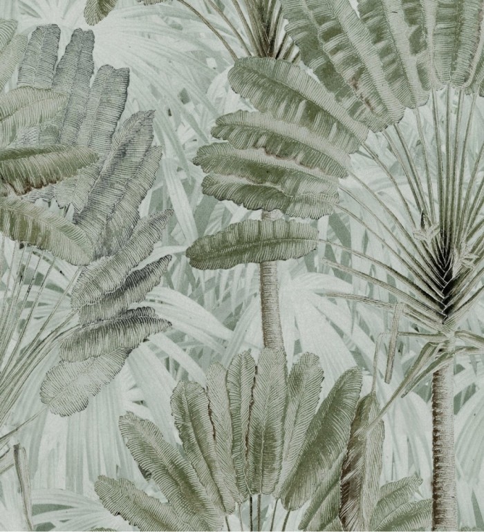 Papel pintado hojas tropicales verde claro - Tropical Fan 128268
