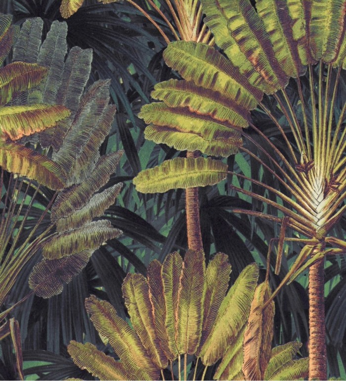 Papel pintado hojas tropicales fondo oscuro - Tropical Fan 128269
