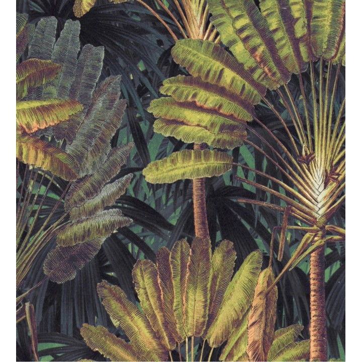 Papel pintado hojas tropicales fondo oscuro - Tropical Fan 128269