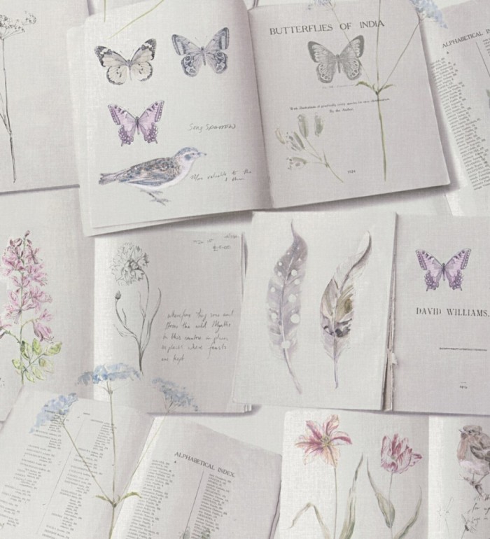 Papel pintado de libros de mariposas y pájaros - Sanday Butterflies 128293