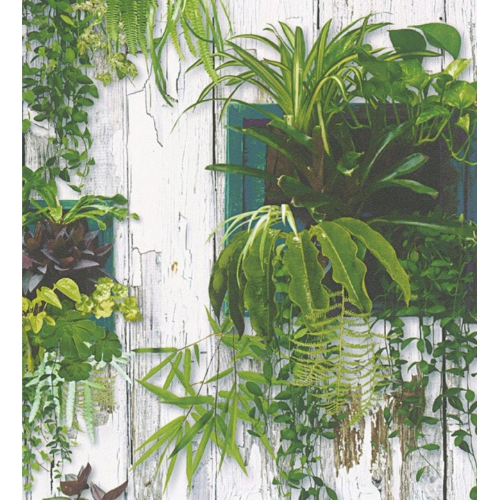 Papel pintado de plantas enredaderas - Katia 128294