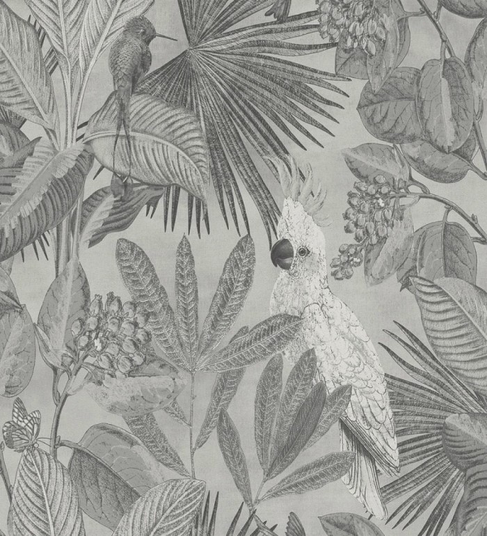 Papel pintado de cacatúas loros y hojas estilo selva tropical - Caledonia Birds 128303