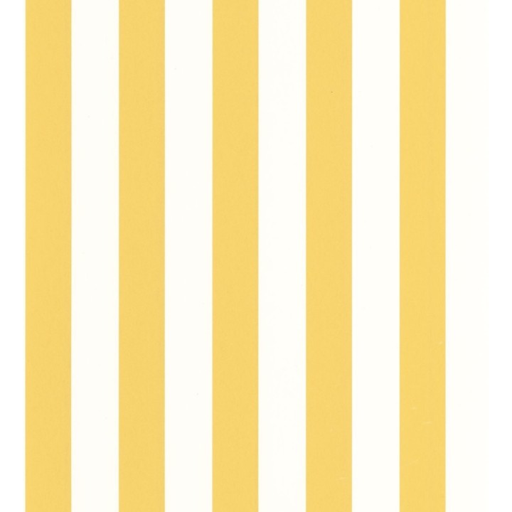 Papel pintado de rayas amarillo y blanco - Gary Stripes 128386