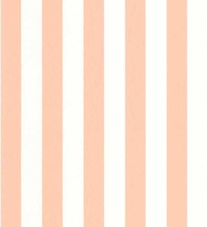 Papel pintado de rayas salmón y blanco - Gary Stripes 128388