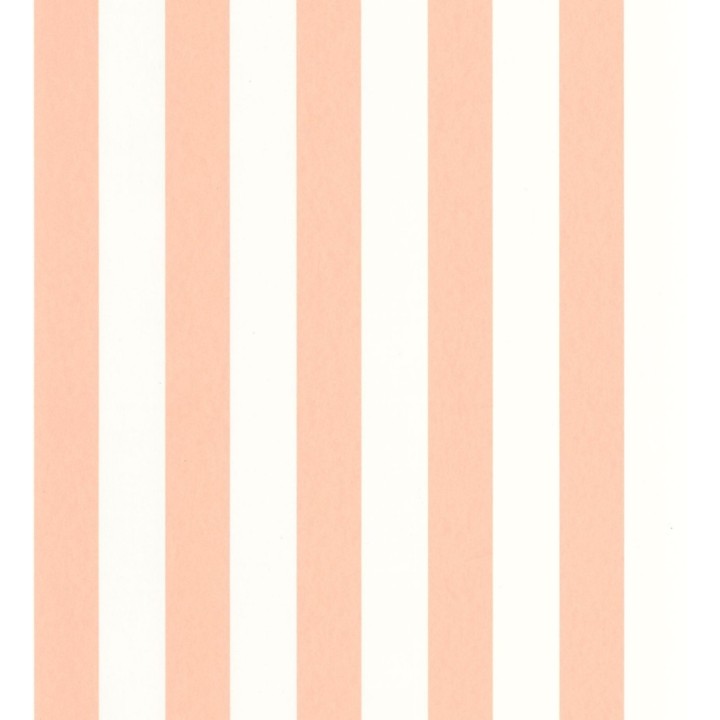 Papel pintado de rayas salmón y blanco - Gary Stripes 128388