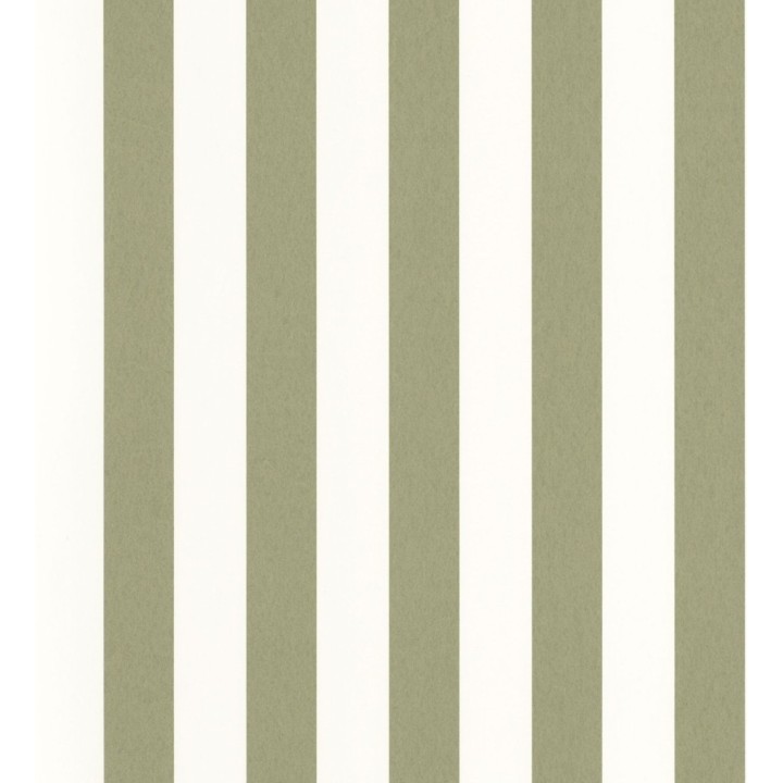 Papel pintado de rayas verde y blanco - Gary Stripes 128391