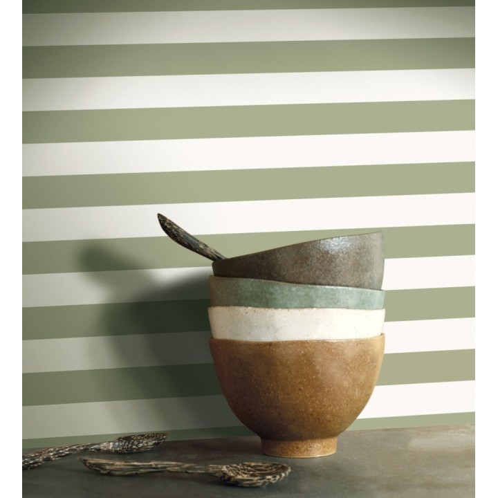 Papel pintado de rayas verde y blanco - Gary Stripes 128391