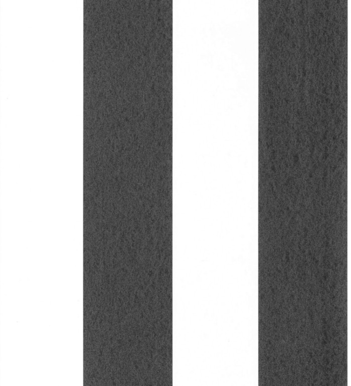 Papel pintado de rayas anchas negro y blanco - Oxford Stripes 128402