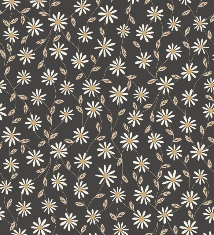 Papel pintado de margaritas blancas fondo negro - Margaret 128606