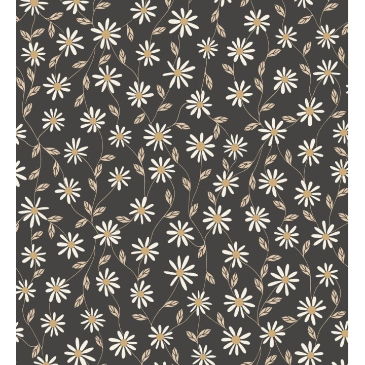 Papel pintado de margaritas blancas fondo negro - Margaret 128606