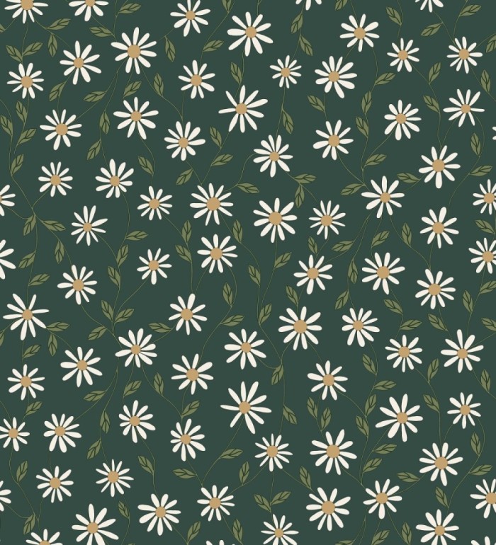 Papel pintado de margaritas blancas fondo verde oscuro - Margaret 128610