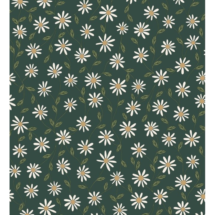 Papel pintado de margaritas blancas fondo verde oscuro - Margaret 128610