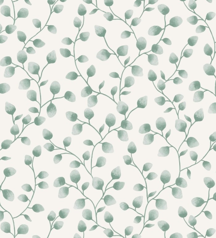 Papel pintado de hojas de eucalipto verdes y fondo blanco - Alondra 128633
