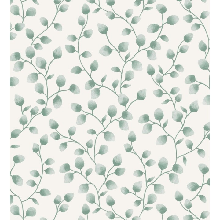 Papel pintado de hojas de eucalipto verdes y fondo blanco - Alondra 128633