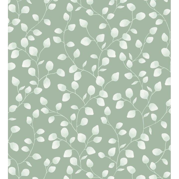 Papel pintado de hojas de eucalipto verdes y fondo verde - Alondra 128634