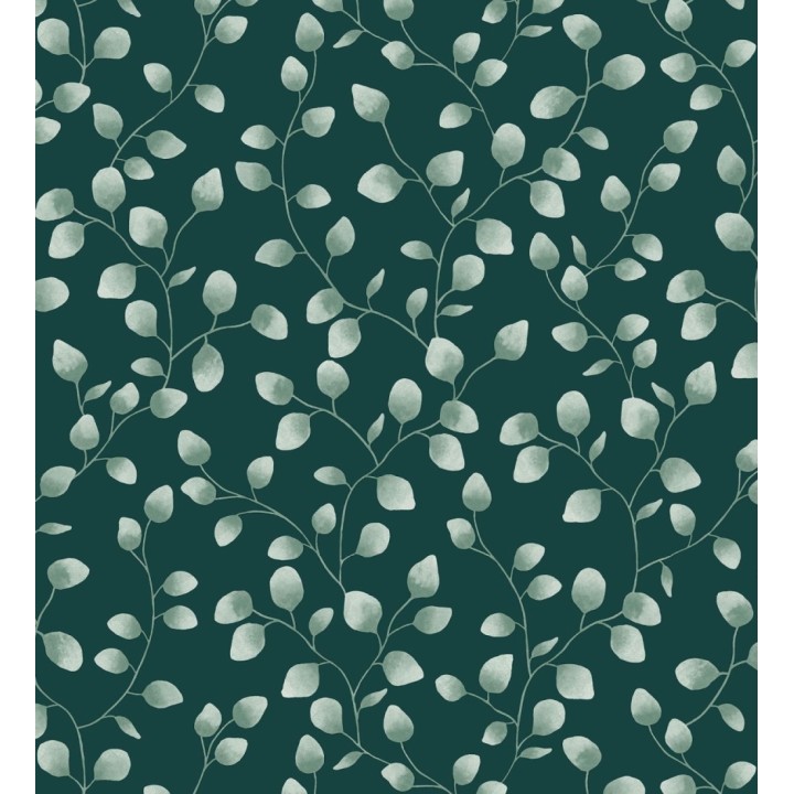 Papel pintado de hojas de eucalipto verdes y fondo verde oscuro - Alondra 128635