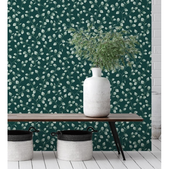 Papel pintado de hojas de eucalipto verdes y fondo verde oscuro - Alondra 128635