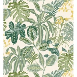 Manaos Leaves 128642