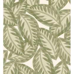 Jubala Leaves 128645