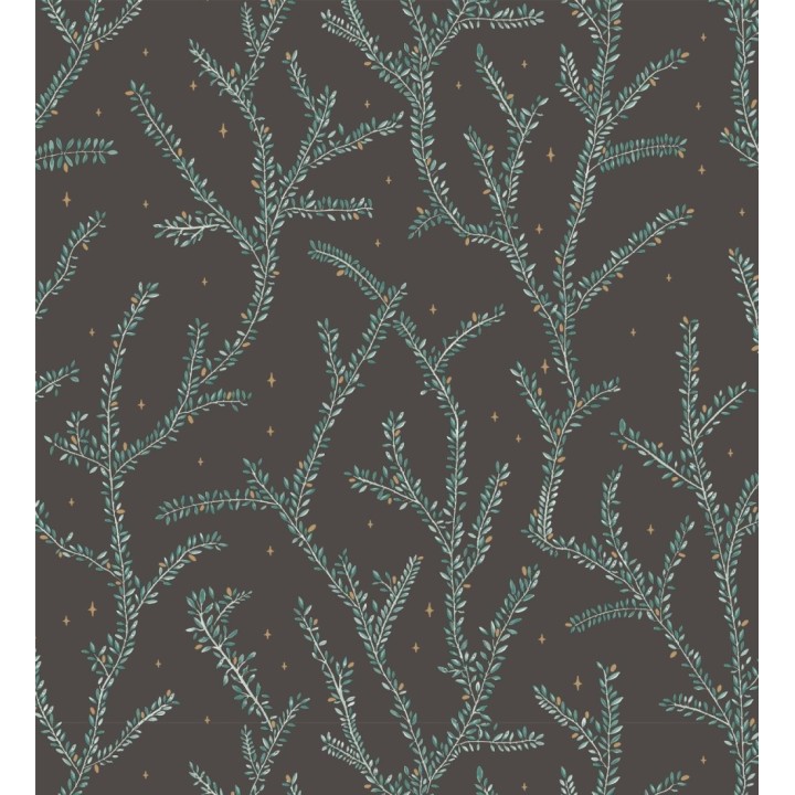 Papel pintado plantas de helechos fondo negro - Canadian Leaves 128699