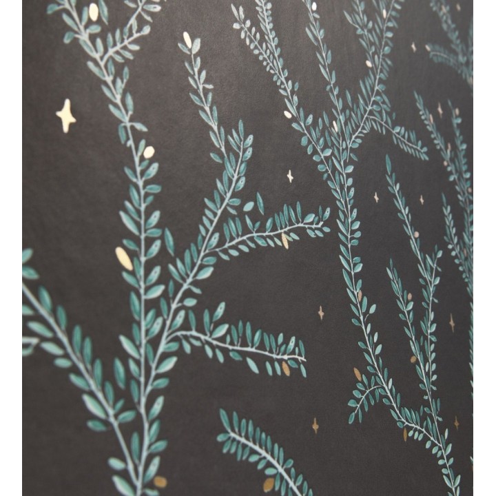 Papel pintado plantas de helechos fondo negro - Canadian Leaves 128699