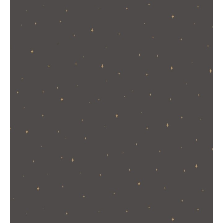 Papel pintado estrellas del cielo fondo negro - Stars Revelation 128706